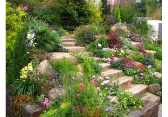 نصب و طراحی روف گاردن نصب و طراحی روف گاردن اجرای چمن مصنوعی و روف