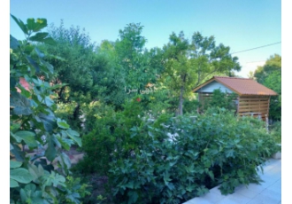 اجاره ویلا نیاسر babaali garden اجاره ویلا نیاسر کاشان فرح بخش آرام