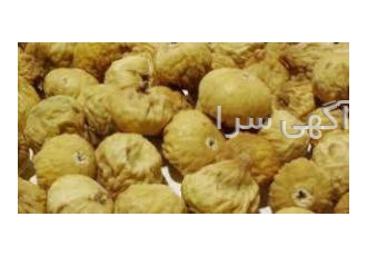 خرید و فروش انجیر خرید و فروش انجیر محصول شهرستان استهبان و نی ریز تا