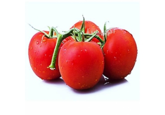 بذر گوجه 38122 CLX