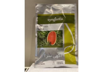 فروش هندوانه کریمسون سوئیت گالاتا