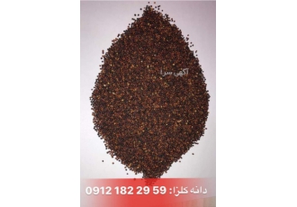 فروش دانه کلزا مناسب روغن گیری روغن کلزا فاقد کلسترول بوده و در بین