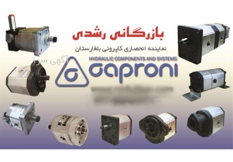 نماینده انحصاری پمپ کاپرونی ، پمپ های دنده ای