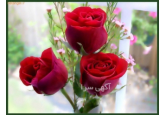 ترجمه متون انگلیسی ترجمه متون عمومی و تخصصی انگلیسی با قیمت مناسب تحویل