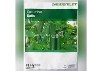 توزیع بذر خیار گلخانه ای داتیس در گراب توزیع و فروش بذر خیار گلخانه ای