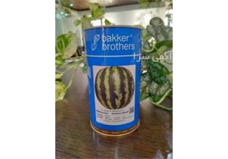 بذر هندوانه بیکر در اردبیل بذر هندوانه خطی بیکر دارای بوته ای متوسط رس