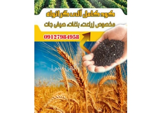 فروش کود کامل آلی گرانوله گوگردی در پاکدشت بخاطر وجود ازت بالایی