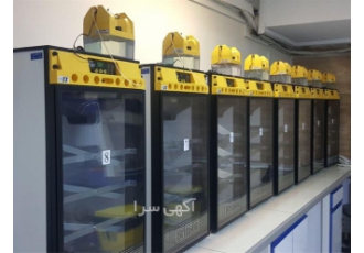 فروش دستگاه جوجه کشی در انواع ظرفیت در قزوین فروش دستگاه جوجه کشی