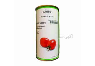 فروش بذر گوجه 1585