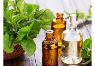 قیمت اسانس نعنا دو آتیشه اسانس عرق نعنا در ایلام اگر بپرسید
