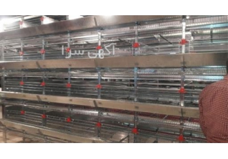 فروش قفس مرغ تخم گذار ارسال سراسری در تهران قفس مرغ تخم گذار طرح