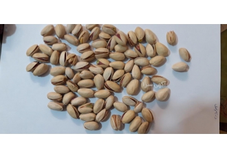 فروش کلی و جزیی پسته رفسنجان
