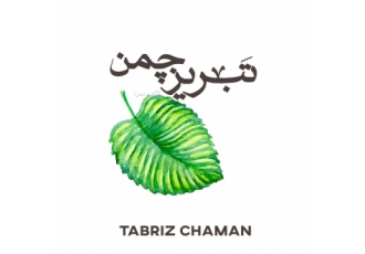 نمایندگی فروش چمن مصنوعی در استان آذربایجان شرقی