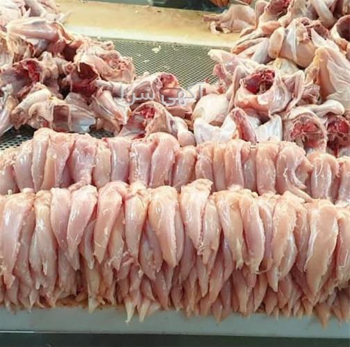 آگهی های خدمات طیور - رباط کریم