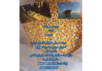 مشاوره برای خرید غلات از روسیه (جو و ذرت و سویا ) برقراری تماس
