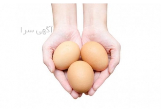 تخم مرغ خوراکی صادراتی تخم مرغ خوراکی صادراتی در شرکت اروم صادرات