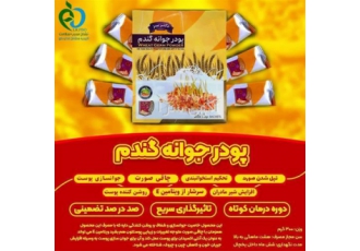تولید جوانه گندم &#۱۶۰; دکتر بیز در صومعه سرا فروش پودر جوانه گندم