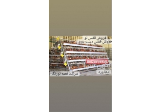 فروش قفس مرغ تخم گذار درجه 1