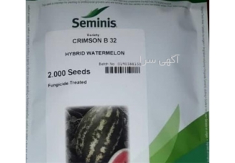 عرضه بذر هندوانه b۳۲ با قیمت مناسب در همدان بذر هندوانه کریمسون سوئیت