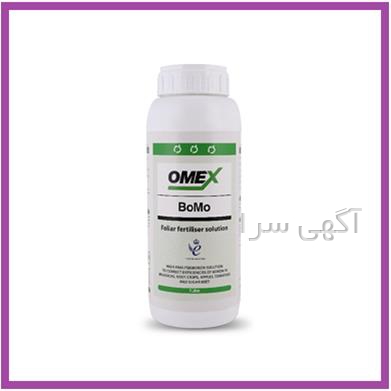 خرید بذر انگور
