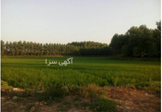 فروش یک قطعه باغ ۱۲۰ هکتاری در شهر جدید هشتگرد فروش باغ 120 هکتاری یک