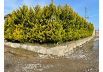 فروش زمین مسکونی شهرکی دارای سند تک برگ