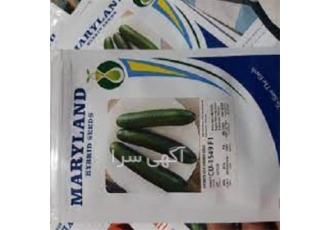 بذر خیار گلخانه ای مریلند در سنقر بذر خیار گلخانه ای مریلند از بهترین