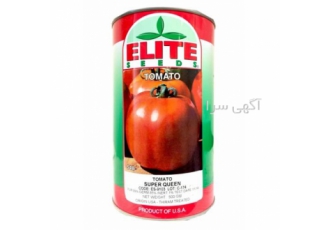 فروش بذر گوجه فرنگی سوپر کویین در بندرعباس بذر گوجه سوپر کویین یکی