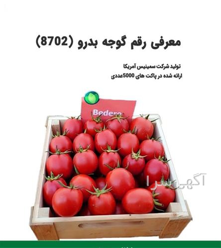 آگهی های کشاورزی و دامداری - بنجار