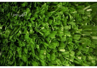 فروش انواع چمن مصنوعی