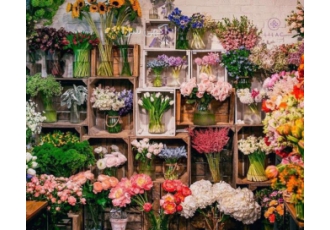 سفارش گل برای تهران