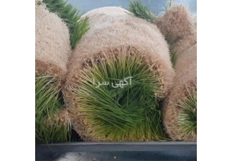 علوفه هیدروپونیک در کرج کار گستر برگزارکننده دوره آموزشی و اجرا کننده