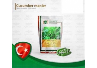 فروش بذر خیار سوپر گیرداپ