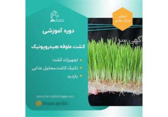 آموزش صفر تا صد راه اندازی علوفه هیدروپونیک
