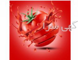 آگهی های کارخانه - فارس