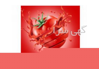 فروش رب اسپتیک مستقیم بدون واسطه با کارخانه فروش رب اسپتیک مستقیم بدون