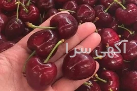 آگهی های سایر موضوعات - ارومیه
