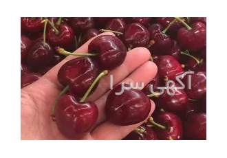 تامین گیلاس تک دانه و زردآلو صادراتی در ارومیه تامین گیلاس تک دانه