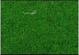فروش ویژه چمن مصنوعی مختص خانه‌های بازی و مهدکودک‌ها