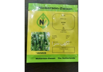 بذر خیار گلخانه ای کیهان ، با کیفیت