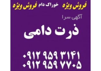 فروش ذرت وارداتی و داخلی تعاونی دام سبک خاتون اقدام به عرضه گسترده