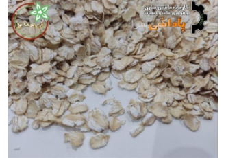 خرید عمده گندم پرک بهترین جو و گندم پرک بازار در همدان فروش عمده پرک