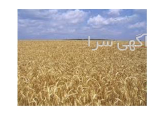 فروش زمین 560 هکتاری در بهشهر