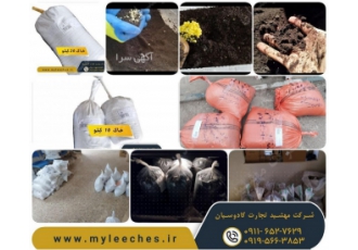 خاک حلزون برای پرورش در کرج خاک حلزون یک نوع خاک خاص است که برای پرورش