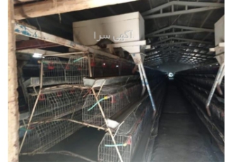 خرید و فروش قفس دست دوم
