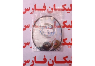 سیل کیت پمپ هاو آلمان Seal kit for piston pump HAW در شیراز گروه صنعتی