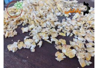 تولید و فروش جو پرک ارگانیک قیمت مناسب در قم بهترین قیمت جو دوسر پرک