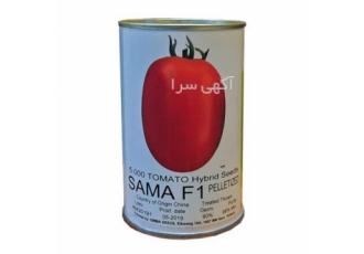 بذر گوجه فرنگی سما f1
