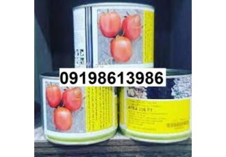 گوجه فرنگی افرا پر فروش اصل در چابکسر محصول شرکت هلند است دارای قوطی