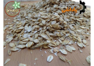 بهترین تولید کننده گندم پرک ، ذرت و جو پرک خوراکی
